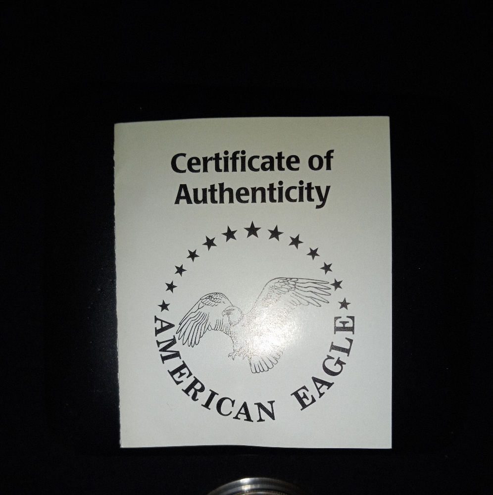 Genuine US Mint Issued American Eagle Silver Bullion Coin